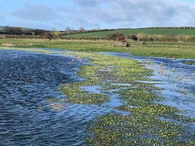 Will there be a drought this year?